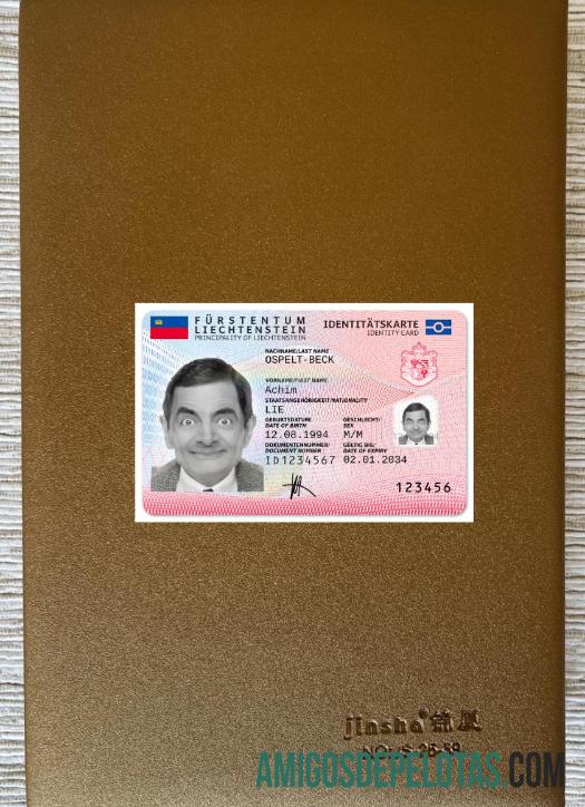 Liechtenstein ID Card 2024 Present olhar de foto frente modelo